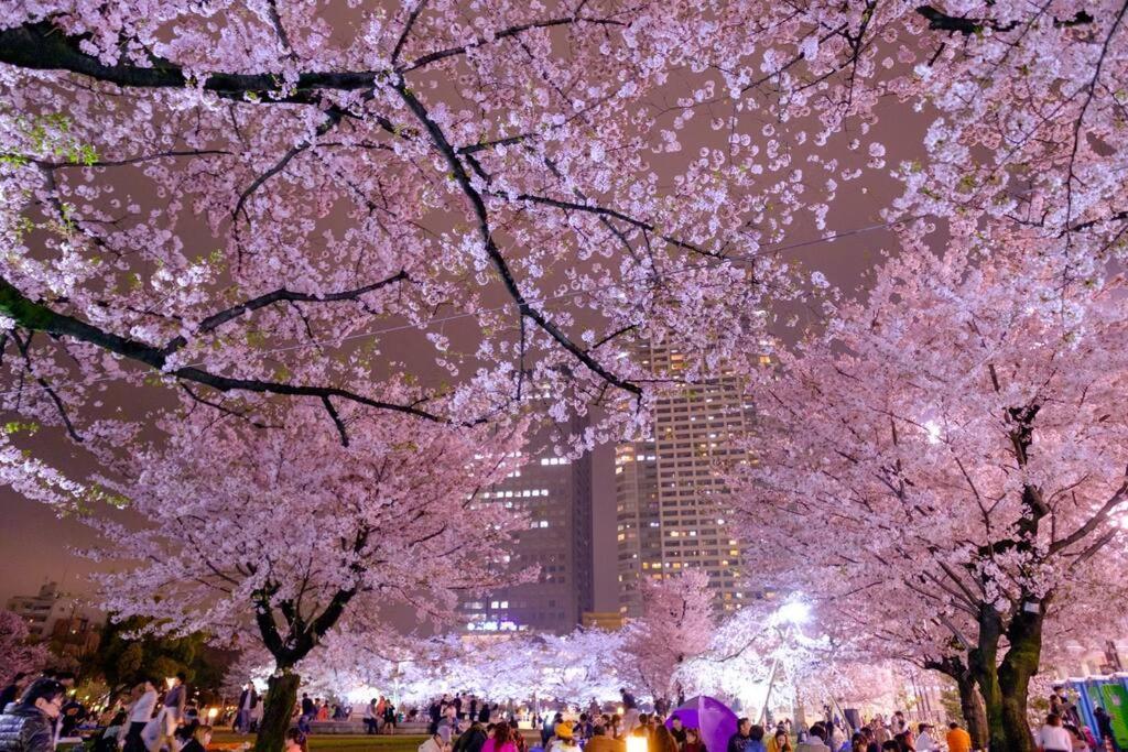 5Mins From Jr Kinshicho! Near Asakusa&Skytree! Токіо Екстер'єр фото